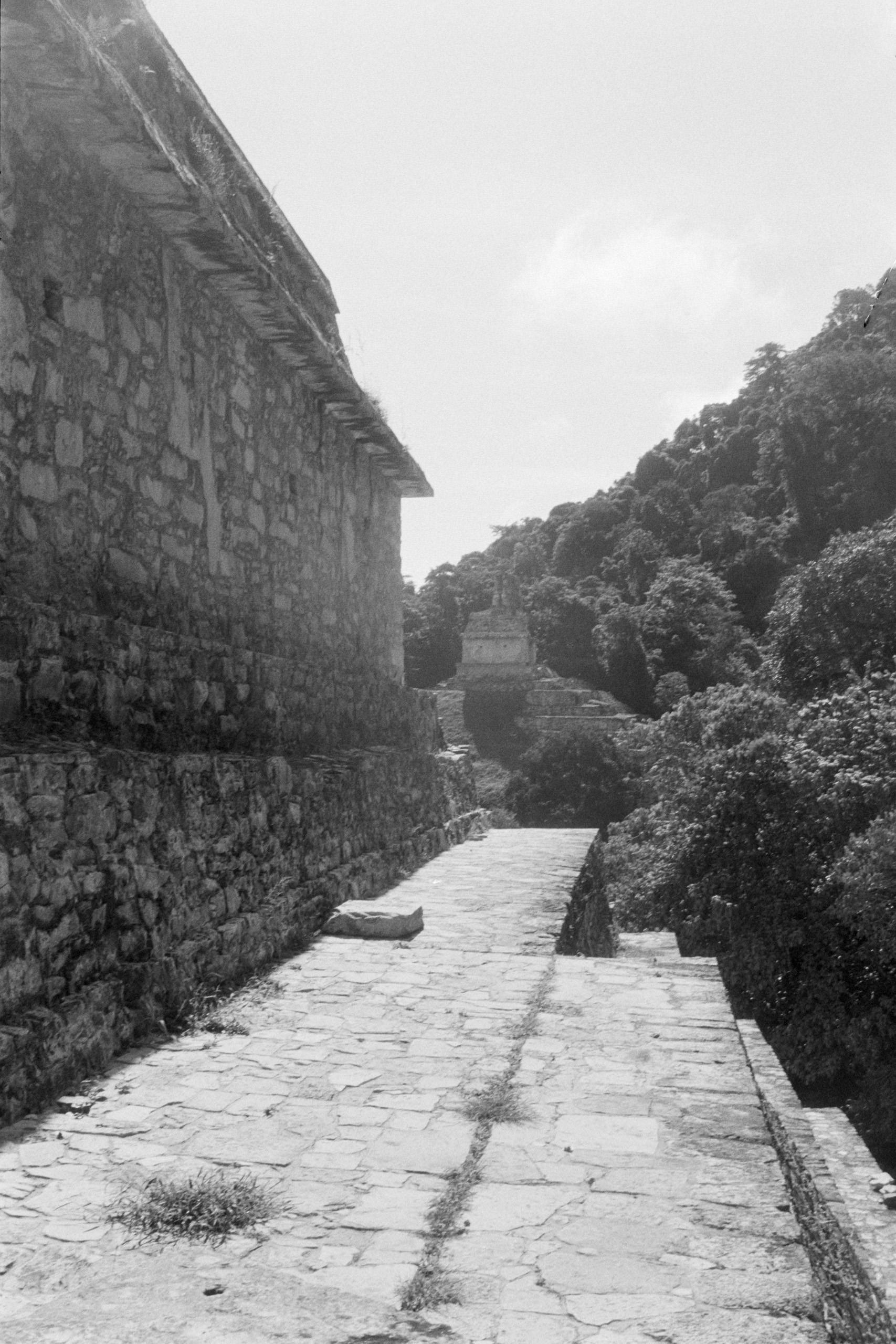 AHP FilmScan 240807 0646